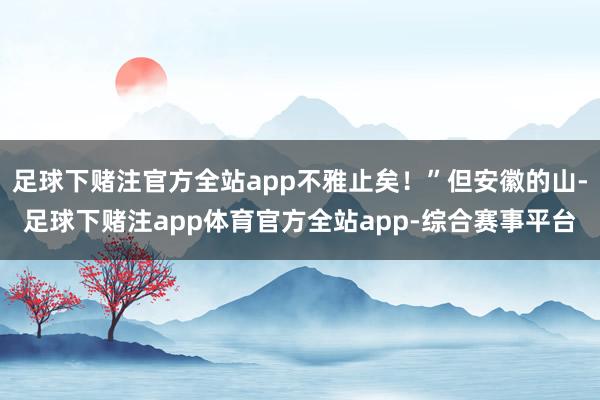 足球下赌注官方全站app不雅止矣！”但安徽的山-足球下赌注app体育官方全站app-综合赛事平台