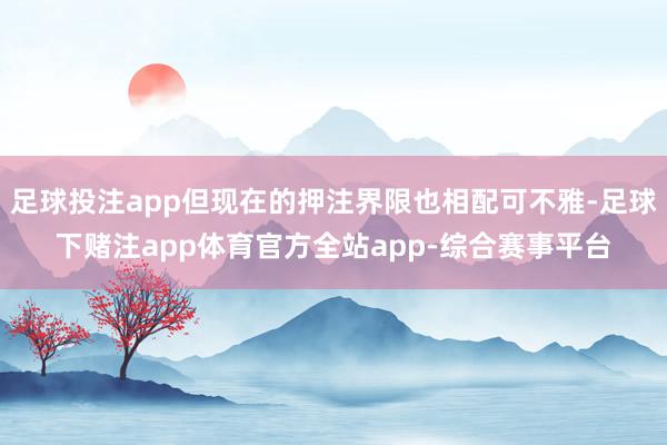 足球投注app但现在的押注界限也相配可不雅-足球下赌注app体育官方全站app-综合赛事平台