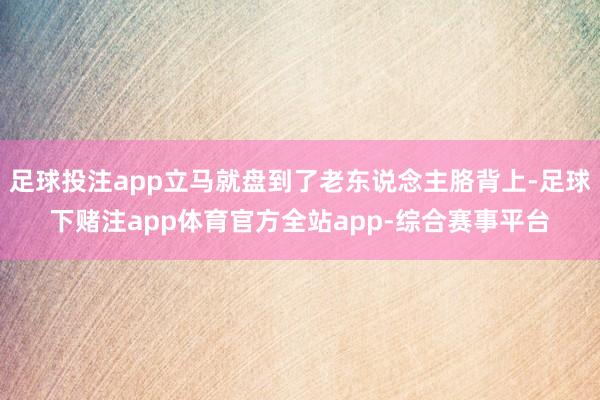 足球投注app立马就盘到了老东说念主胳背上-足球下赌注app体育官方全站app-综合赛事平台