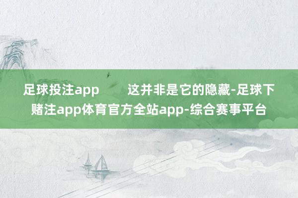 足球投注app        这并非是它的隐藏-足球下赌注app体育官方全站app-综合赛事平台